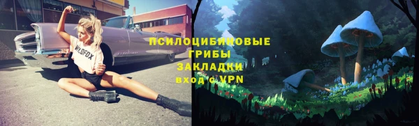 гидропоника Абдулино