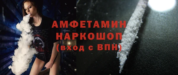 индика Абаза