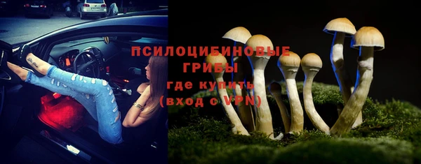 молекула духа Абинск