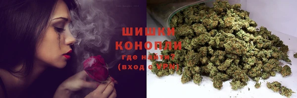 индика Абаза