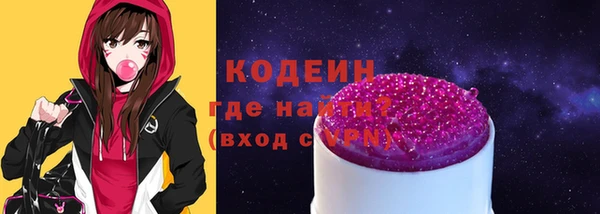 индика Абаза