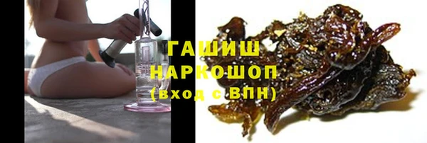 индика Абаза