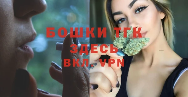 молекула духа Абинск
