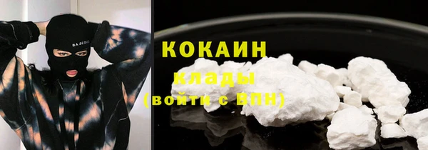 индика Абаза