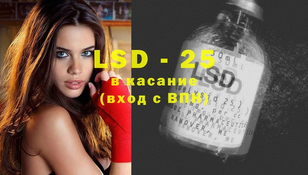 индика Абаза
