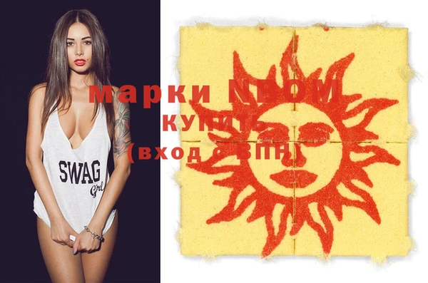индика Абаза