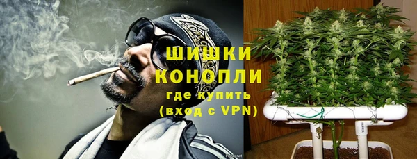 молекула духа Абинск