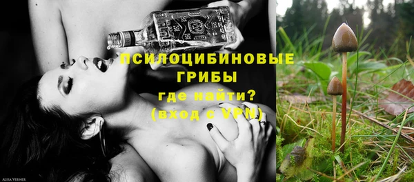 молекула духа Абинск