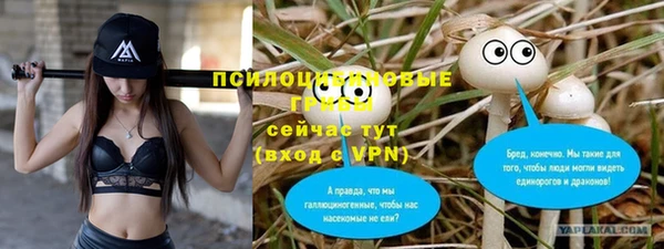 индика Абаза