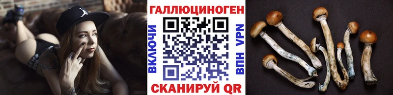 где купить   MEGA tor  Псилоцибиновые грибы GOLDEN TEACHER  Починок 